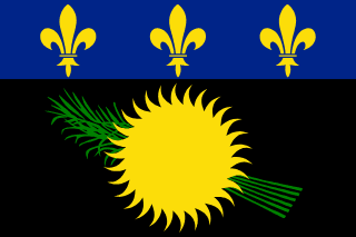 The flag of Guadeloupe has a black field with a 30-rayed yellow sun in front of a green sugarcane, as well as a blue stripe with three yellow fleurs-de-lis on the top.